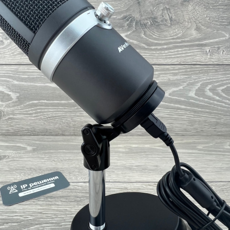 AVerMedia AM310, USB микрофон